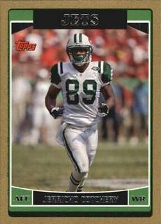 Jerricho Cotchery