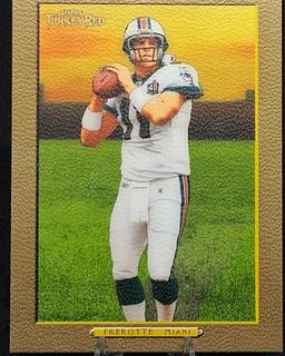 Gus Frerotte