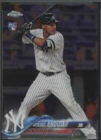 Miguel Andujar