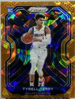 Tyrell Terry