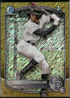 Ashly Andujar