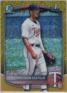 Haritzon Castillo