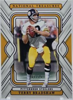 Terry Bradshaw