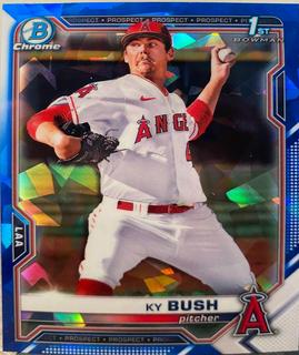 Ky Bush