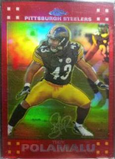 Troy Polamalu