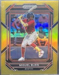 Miguel Bleis