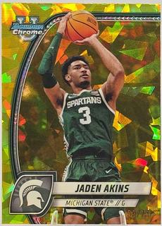 Jaden Akins