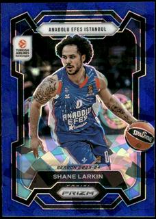 Shane Larkin