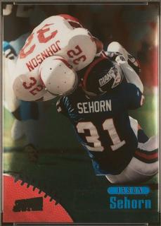 Jason Sehorn