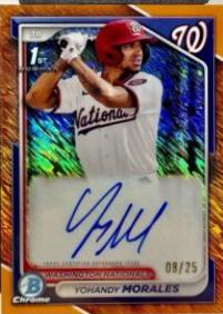 Yohandy Morales