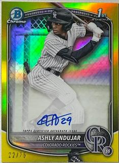 Ashly Andujar