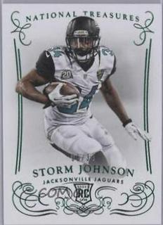 Storm Johnson