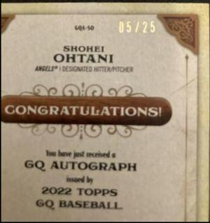 Shohei Ohtani