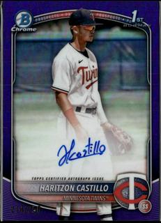Haritzon Castillo