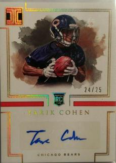 Tarik Cohen