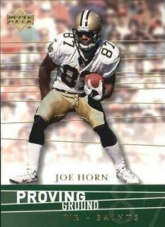 Joe Horn