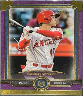Shohei Ohtani