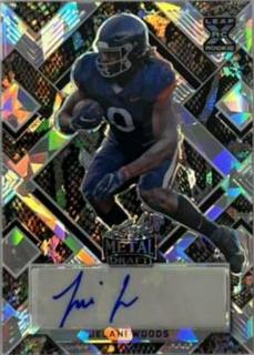 Jelani Woods
