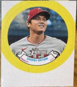 Shohei Ohtani