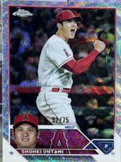 Shohei Ohtani