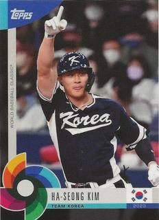 Ha Seong Kim