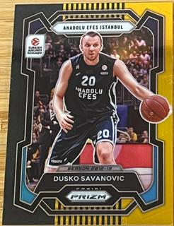 Dusko Savanovic