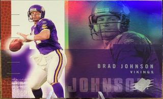 Brad Johnson