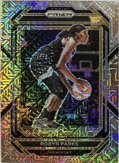 Robyn Parks