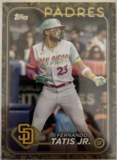 Fernando Tatis Jr.