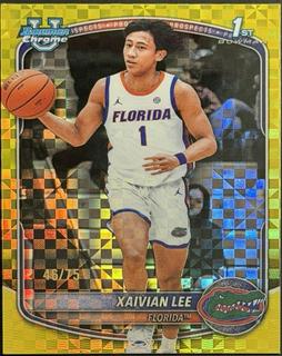 Xaivian Lee
