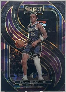 P.J. Washington Jr.