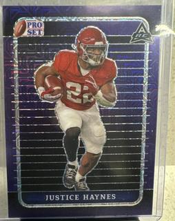 Justice Haynes