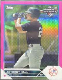 Anthony Hall [Fuchsia] #PD-13