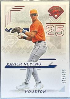 Xavier Neyens