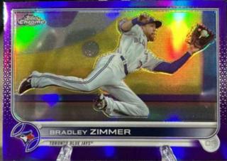Bradley Zimmer