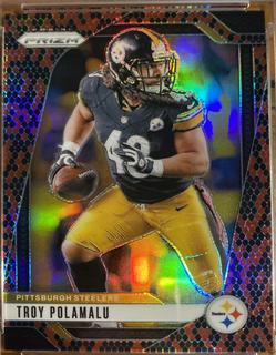 Troy Polamalu
