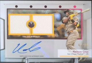 Nelson Cruz