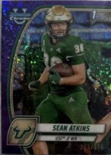 Sean Atkins