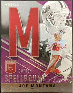 Joe Montana