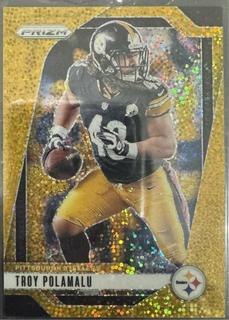 Troy Polamalu