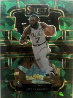 Jaylen Brown