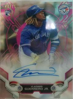 Vladimir Guerrero Jr.