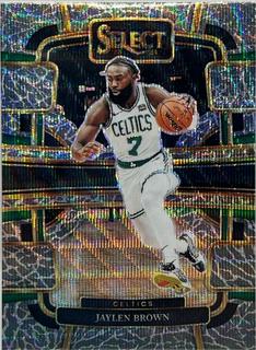 Jaylen Brown