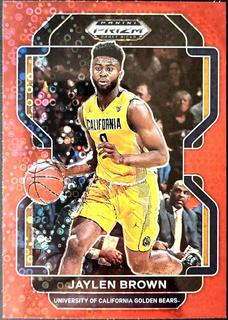 Jaylen Brown