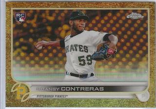 Roansy Contreras