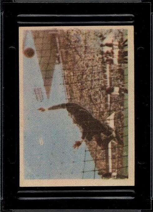 Pele #50 Soccer Cards 1964 Instantaneos DA Vida Do Rei Pele