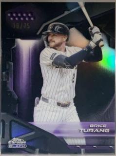 Brice Turang