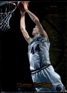 Shawn Bradley