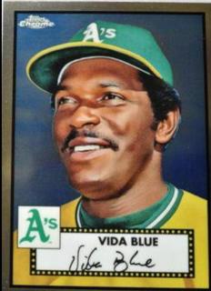 Vida Blue