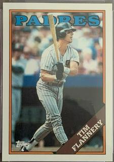Tim Flannery
